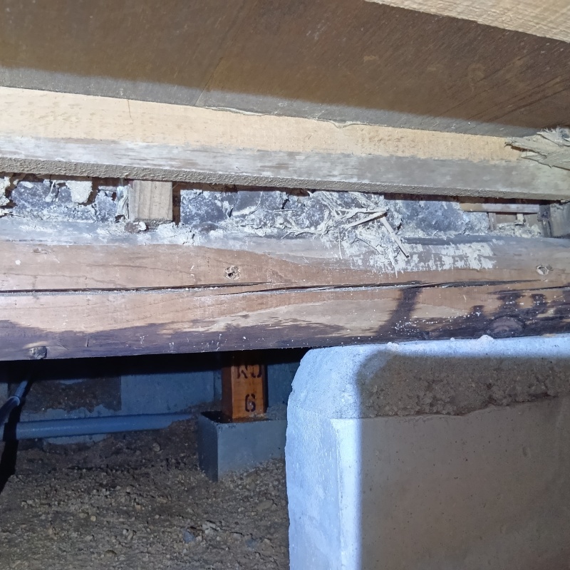 劣化している床下の木材