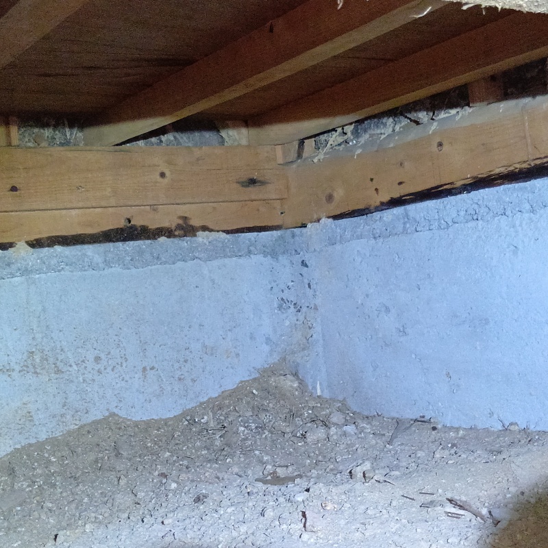 シロアリ駆除剤を散布する前