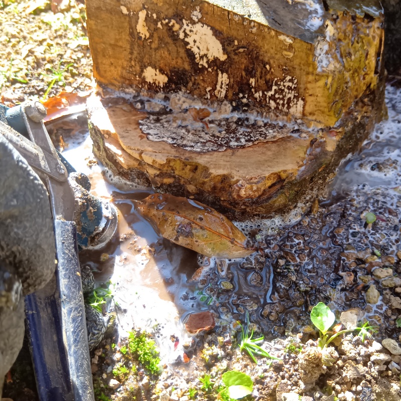 築年数23年のシロアリ予防の施工事例（茨城県水戸市河和田）