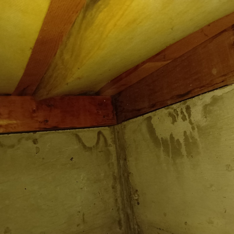 シロアリ駆除剤を吹きつける前