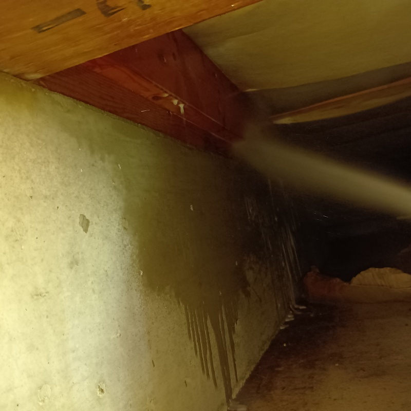 コンクリートにシロアリ駆除剤を散布