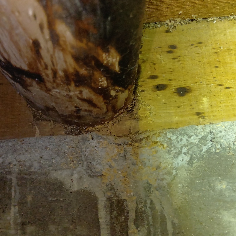 木くずがたまっている様子