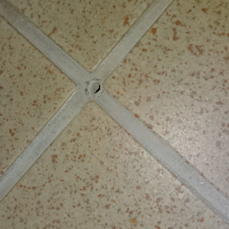 シロアリ駆除剤を注入する穴を開けた様子