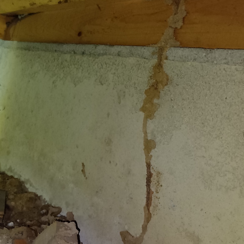 築年数40年のシロアリ予防の施工事例（大阪府大阪市平野区瓜破）