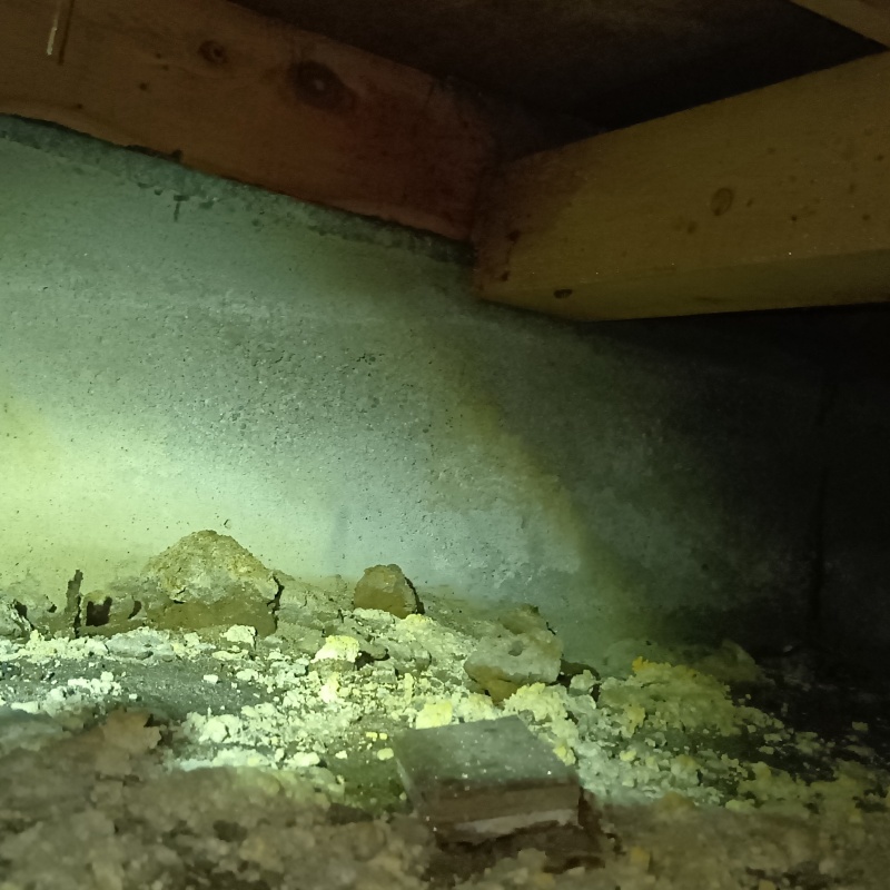 シロアリ駆除剤を吹きつける前の様子