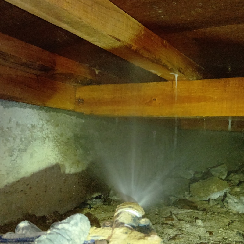 床下の基礎や地面にシロアリ駆除剤を散布