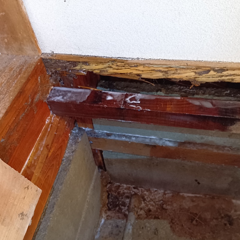 シロアリ駆除の施工事例（兵庫県赤穂市中広）