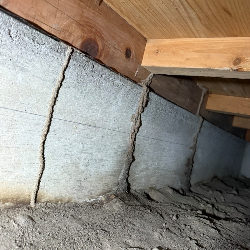 築年数36年のシロアリ駆除の施工事例（愛知県一宮市大和町南高井字野間）