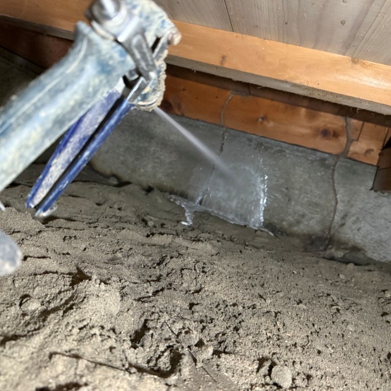 コンクリートにシロアリ駆除剤を散布