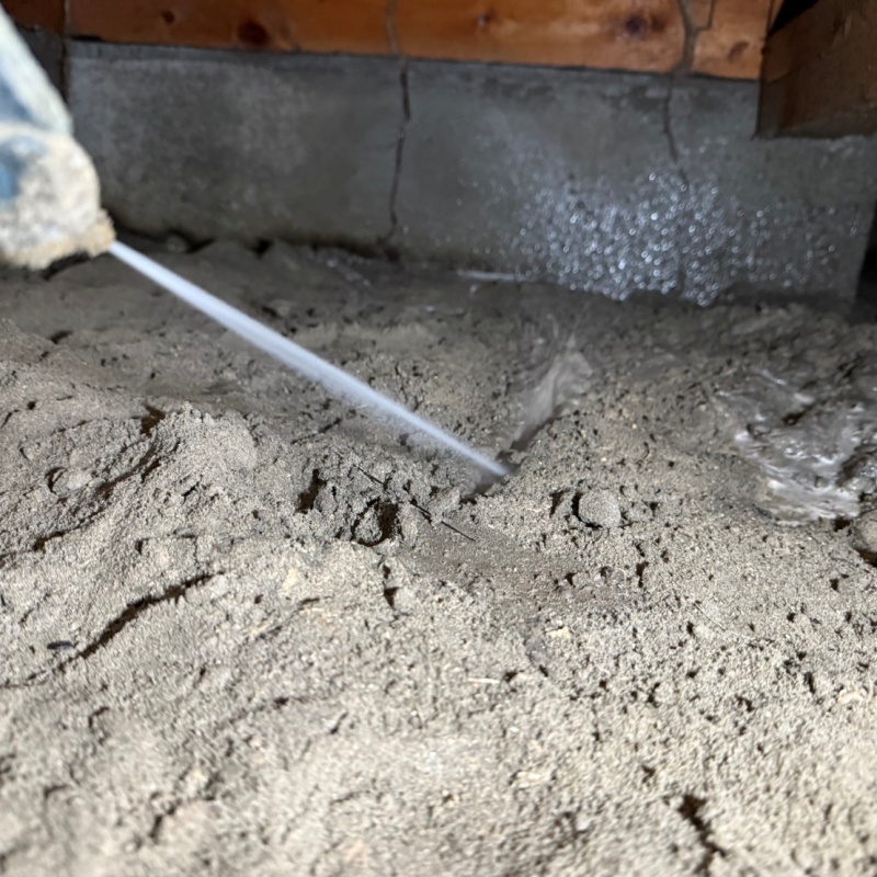 地面にシロアリ駆除剤を吹きつけている様子