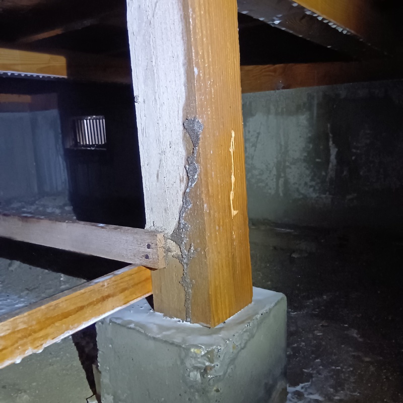 築年数35年のシロアリ駆除の施工事例（茨城県下妻市大串）