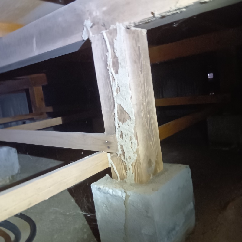 傷んだ床下の木材