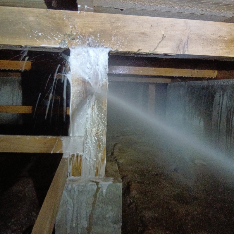 傷んだ木材にシロアリ駆除剤を散布