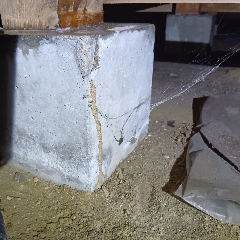 束石に作られた蟻道