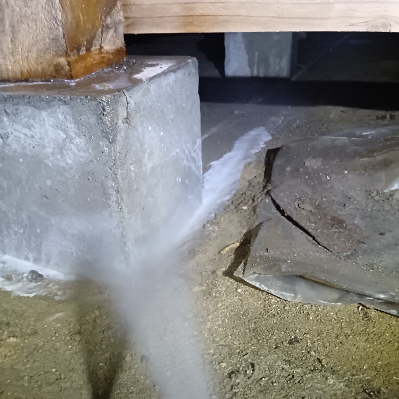 束石にシロアリ駆除剤を散布