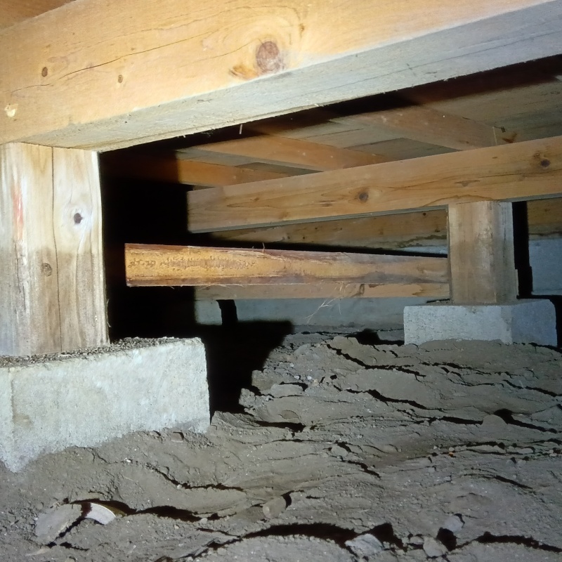 防蟻剤を散布する前の様子