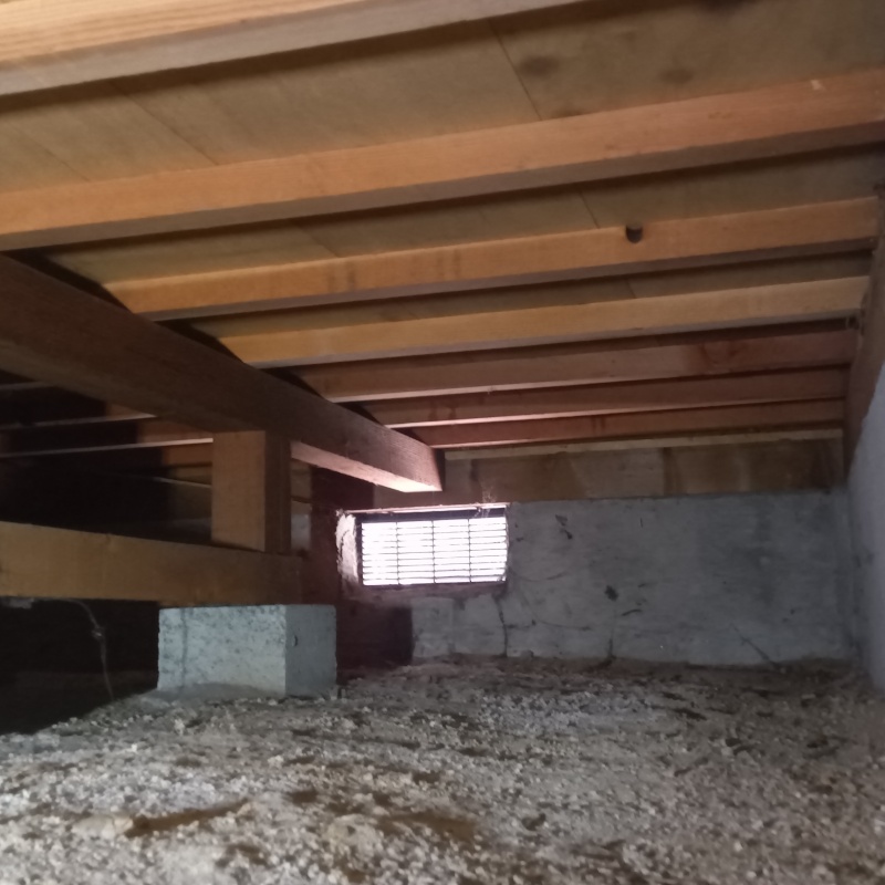 シロアリ駆除剤を吹きつける前の様子