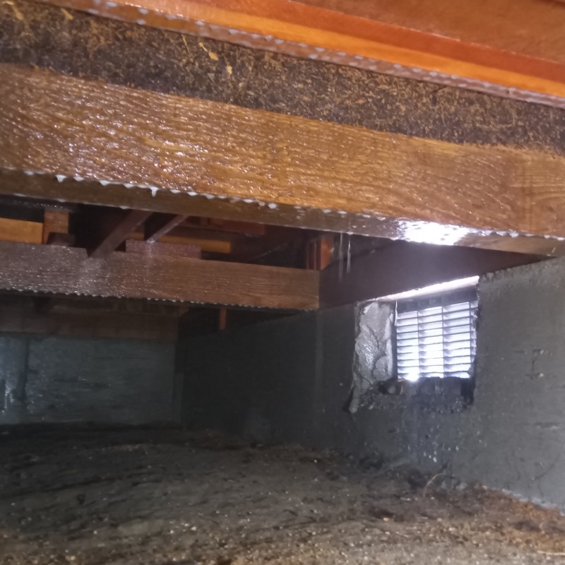 シロアリ駆除剤を吹きつけたあとの様子