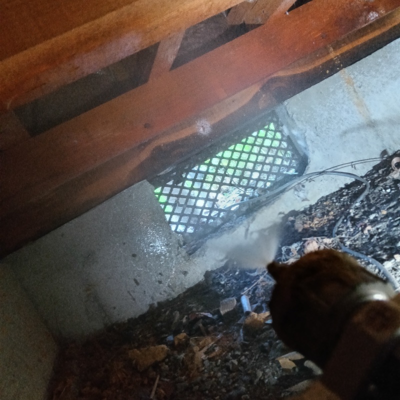 床下換気口まわりにシロアリ駆除剤を散布