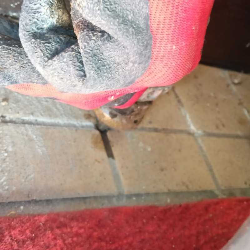 木材にシロアリ駆除剤を注入