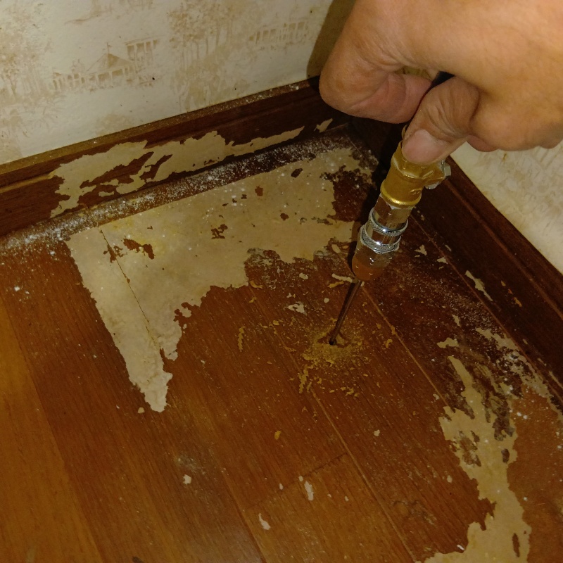 傷んだフローリングにシロアリ駆除剤を注入