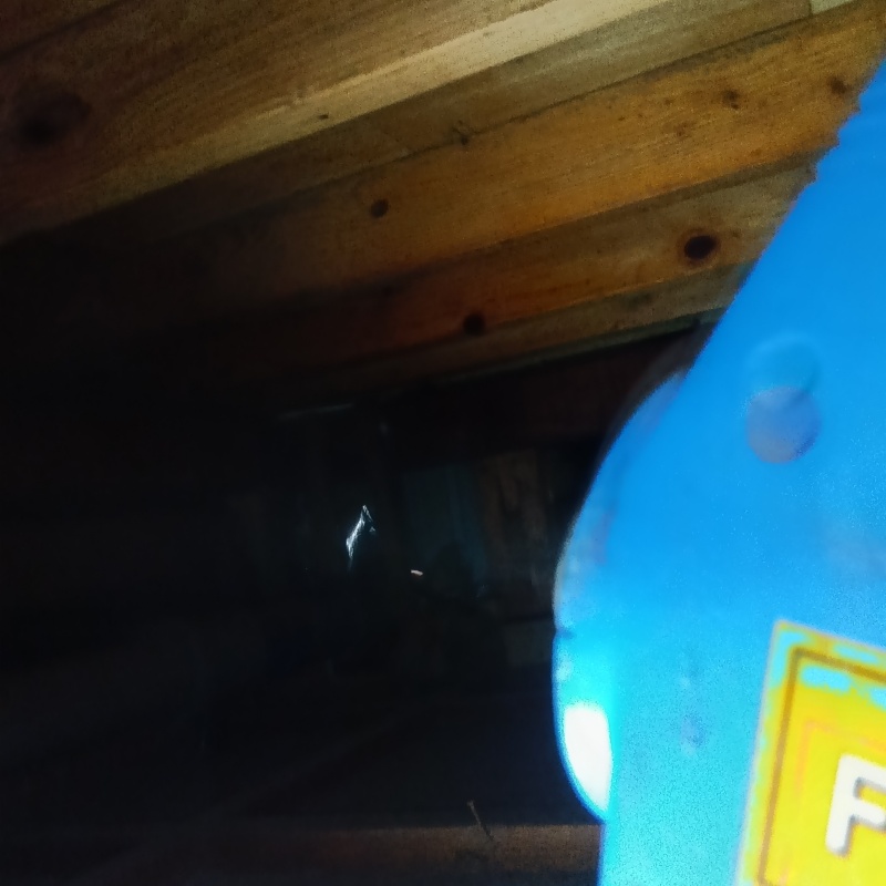 噴霧器で除菌剤を散布