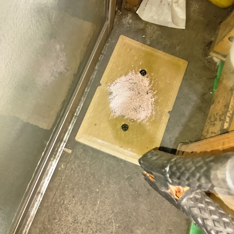 粘着シートの上に殺鼠剤を設置