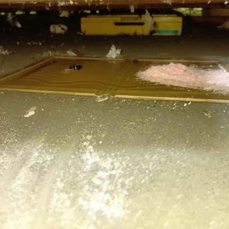 ネズミが殺鼠剤を食べたあと