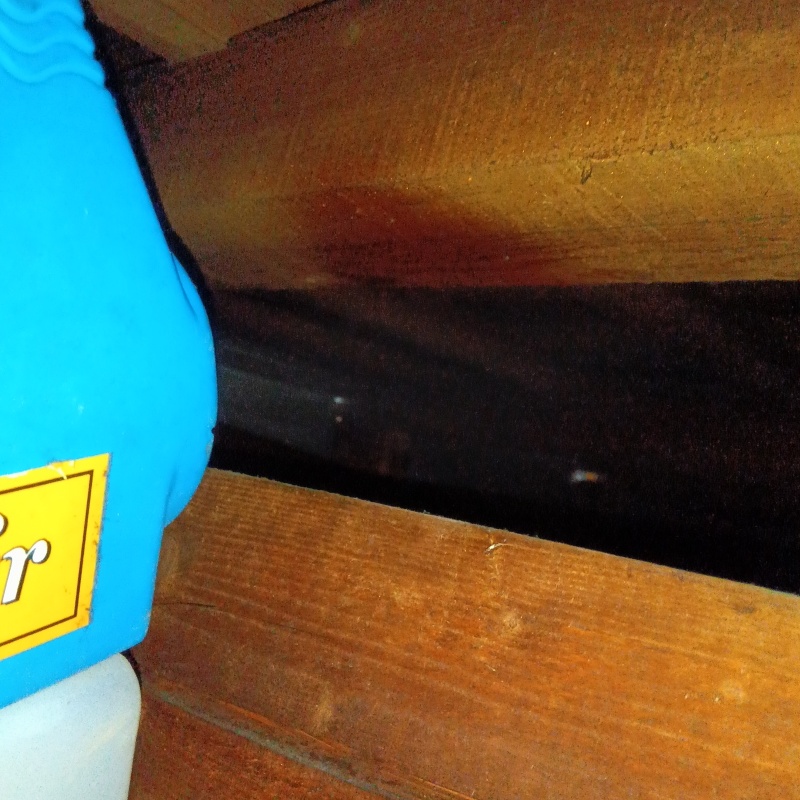 噴霧器で除菌剤を散布