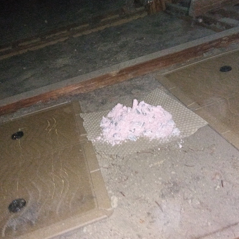 殺鼠剤と粘着シートを設置