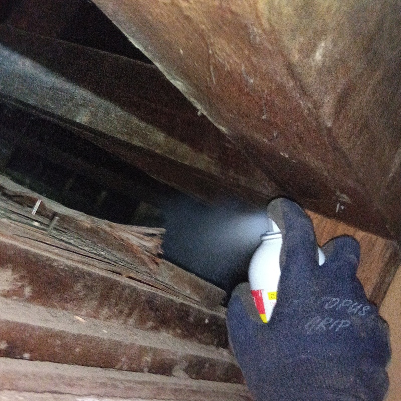 天井裏に忌避スプレーを散布