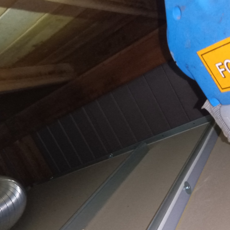 噴霧器で除菌剤を散布