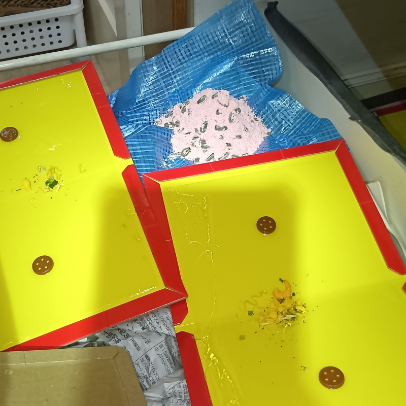 殺鼠剤のまわりに粘着シートを敷き詰めた様子