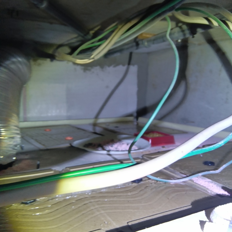 殺鼠剤のまわりに粘着シートを敷き詰めた様子