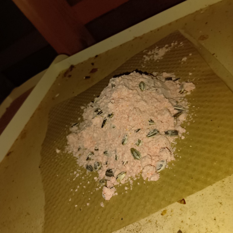 屋根裏に殺鼠剤を設置