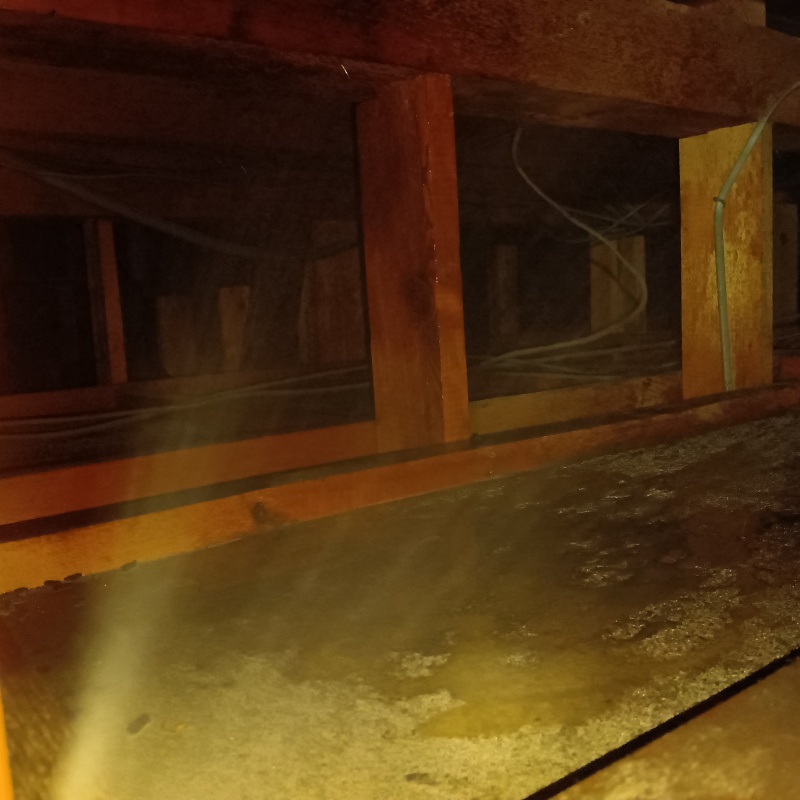 除菌剤を散布した様子