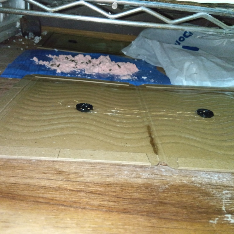 殺鼠剤を食べたネズミの死骸