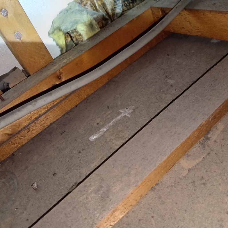 フンなどで汚れた天井裏