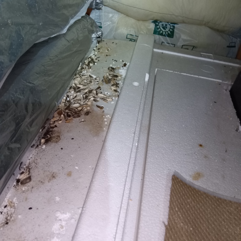ネズミ駆除の施工事例（長野県小諸市甲）