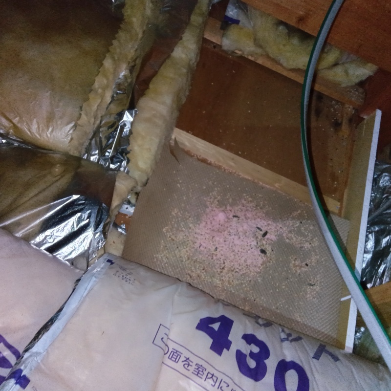 天井裏に殺鼠剤を設置