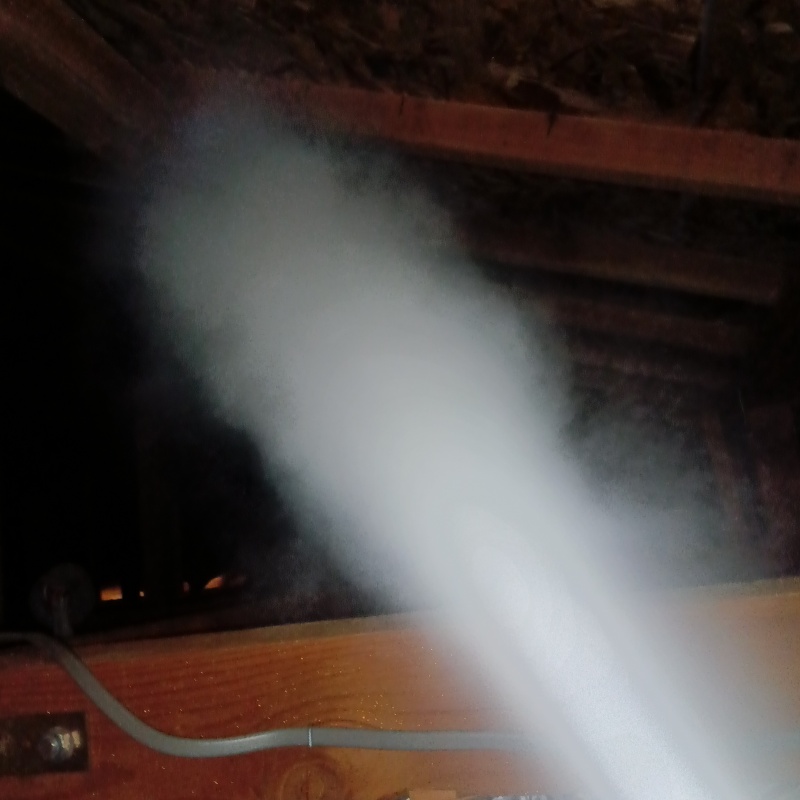 忌避スプレーを散布