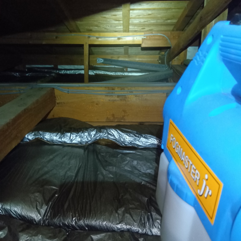 噴霧器で除菌剤を散布