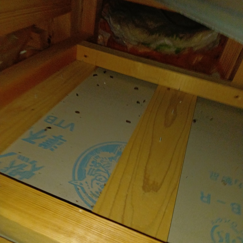 天井裏に落ちているフン