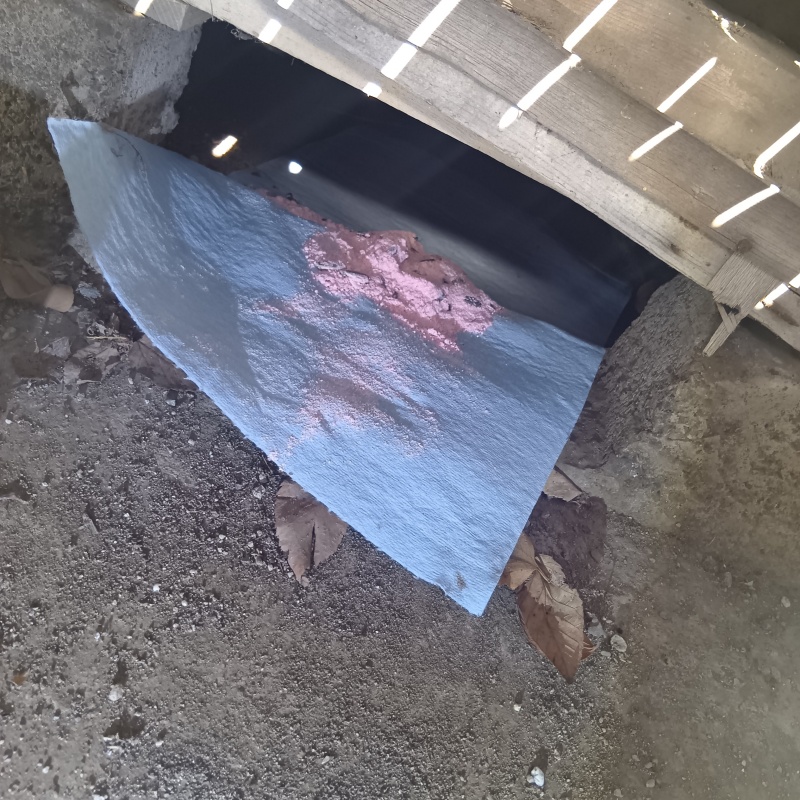 床下に殺鼠剤を設置