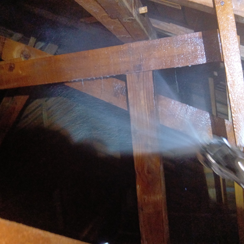 屋根裏の木材にシロアリ駆除剤を散布する様子