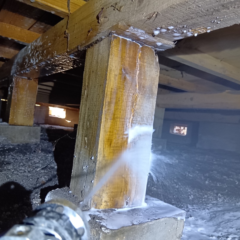 蟻道があった木部にシロアリ駆除剤を吹きつけている様子