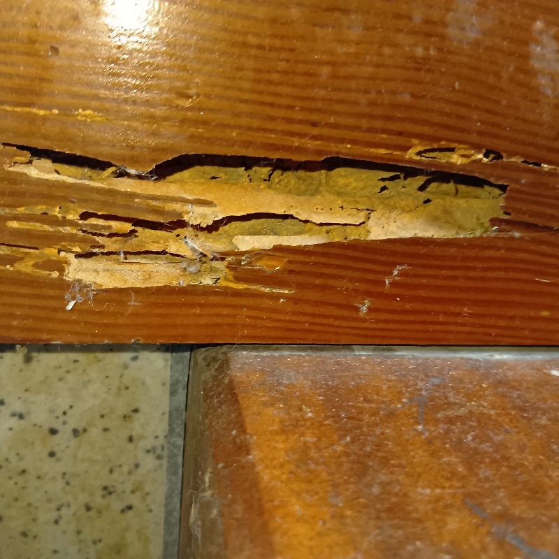 劣化して亀裂が入った木材