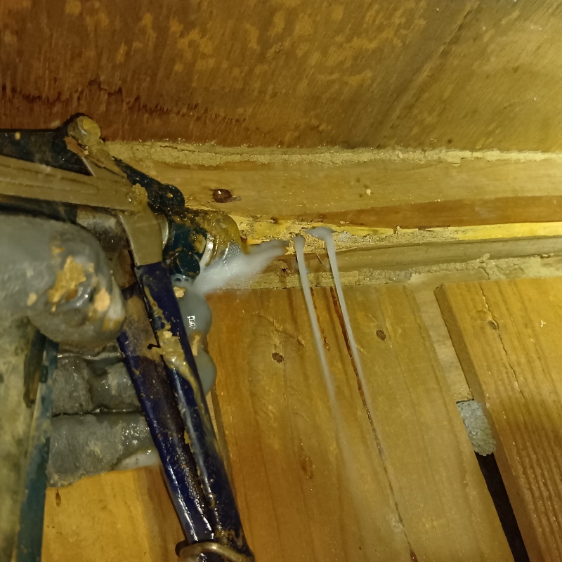 ダメージが蓄積した木材にシロアリ駆除剤を注入