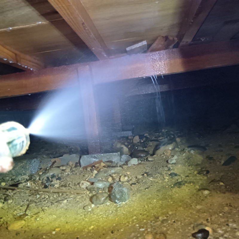 床束にシロアリ駆除剤を散布