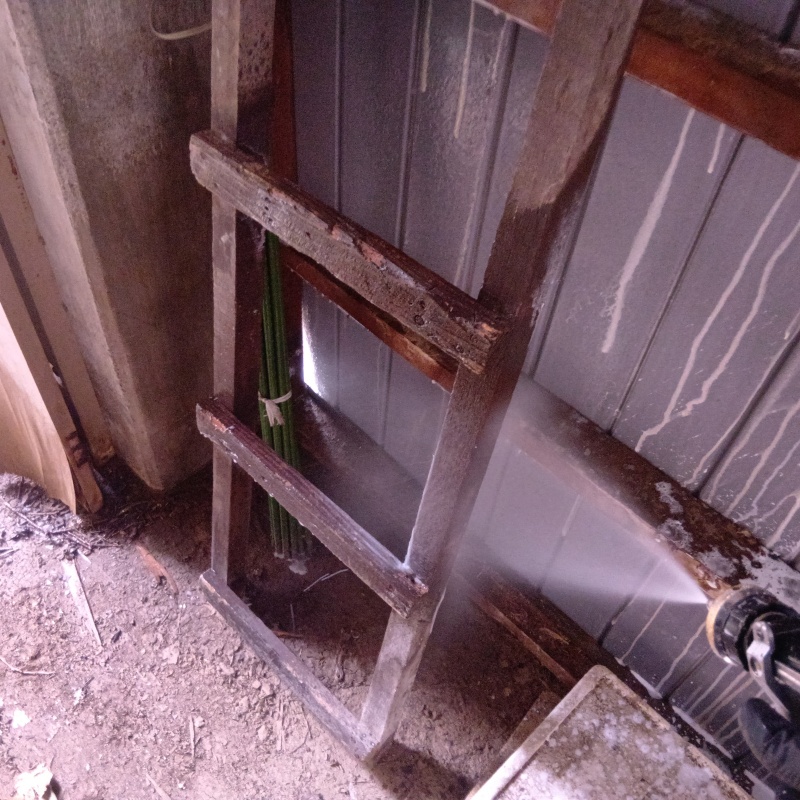 木製はしごにシロアリ駆除剤を散布